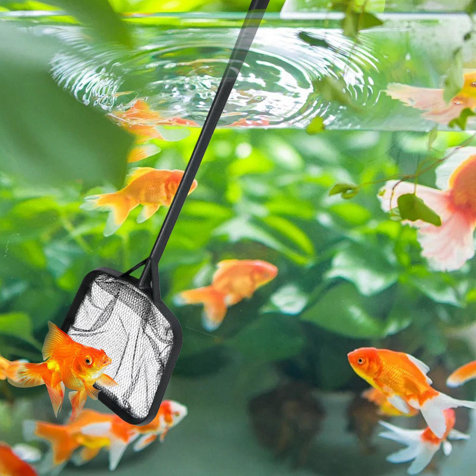 Redes de limpieza para piscina - Marine Aquarium Equipment reseña y precio