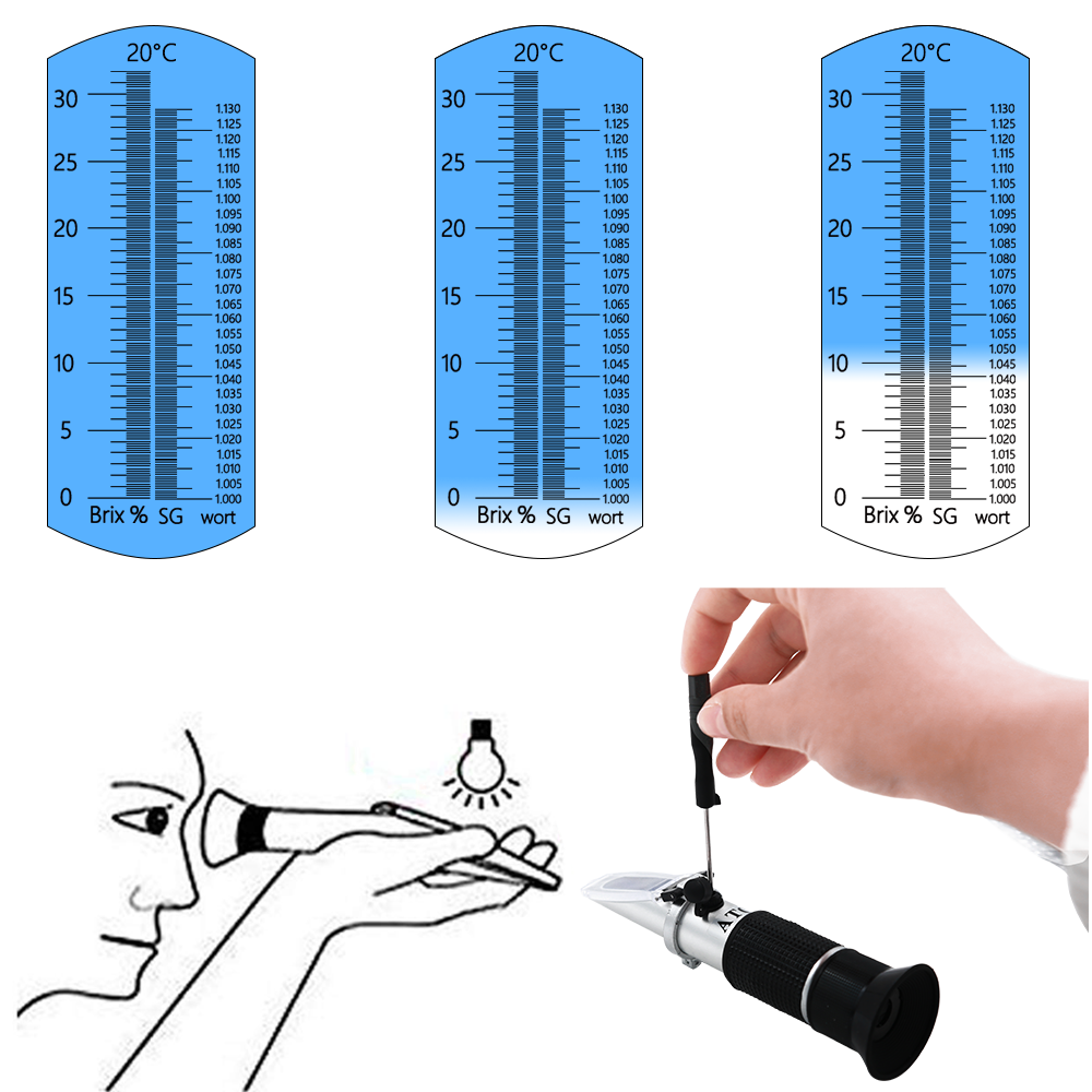 Refractómetro de mosto de cerv - Marine Aquarium Refractometer reseña y precio