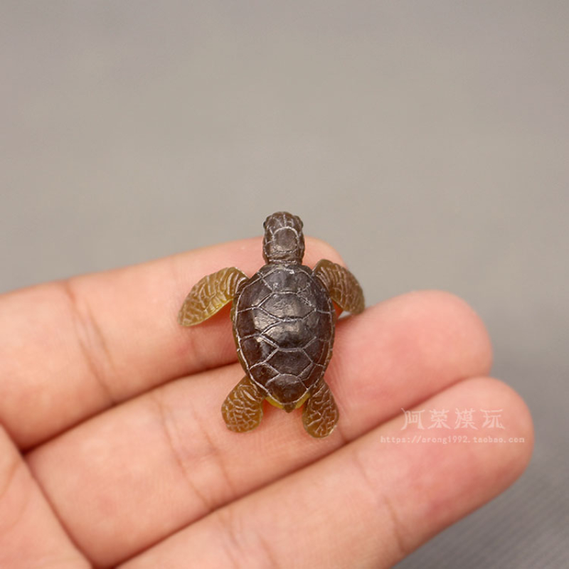 Modelo de tortuga marina, ador - Marine Aquarium Japan reseña y precio