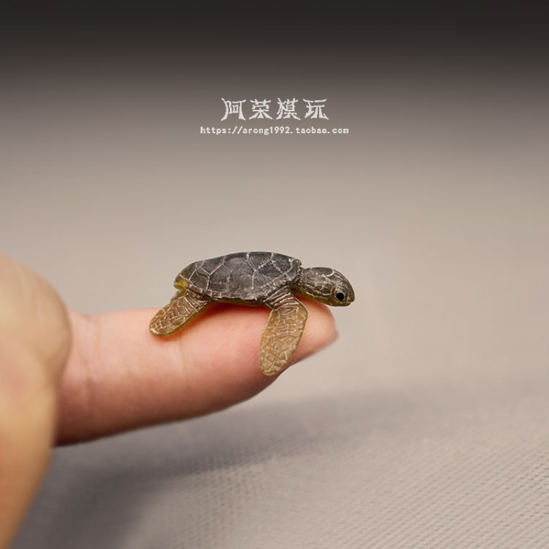 Modelo de tortuga marina, ador - Marine Aquarium Japan reseña y precio