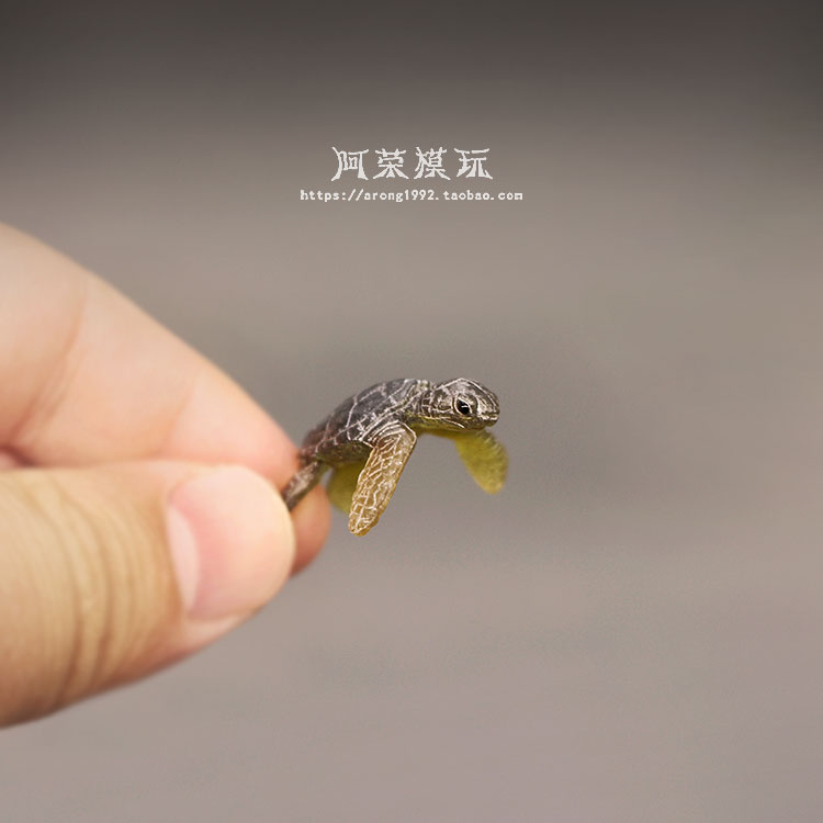 Modelo de tortuga marina, ador - Marine Aquarium Japan reseña y precio